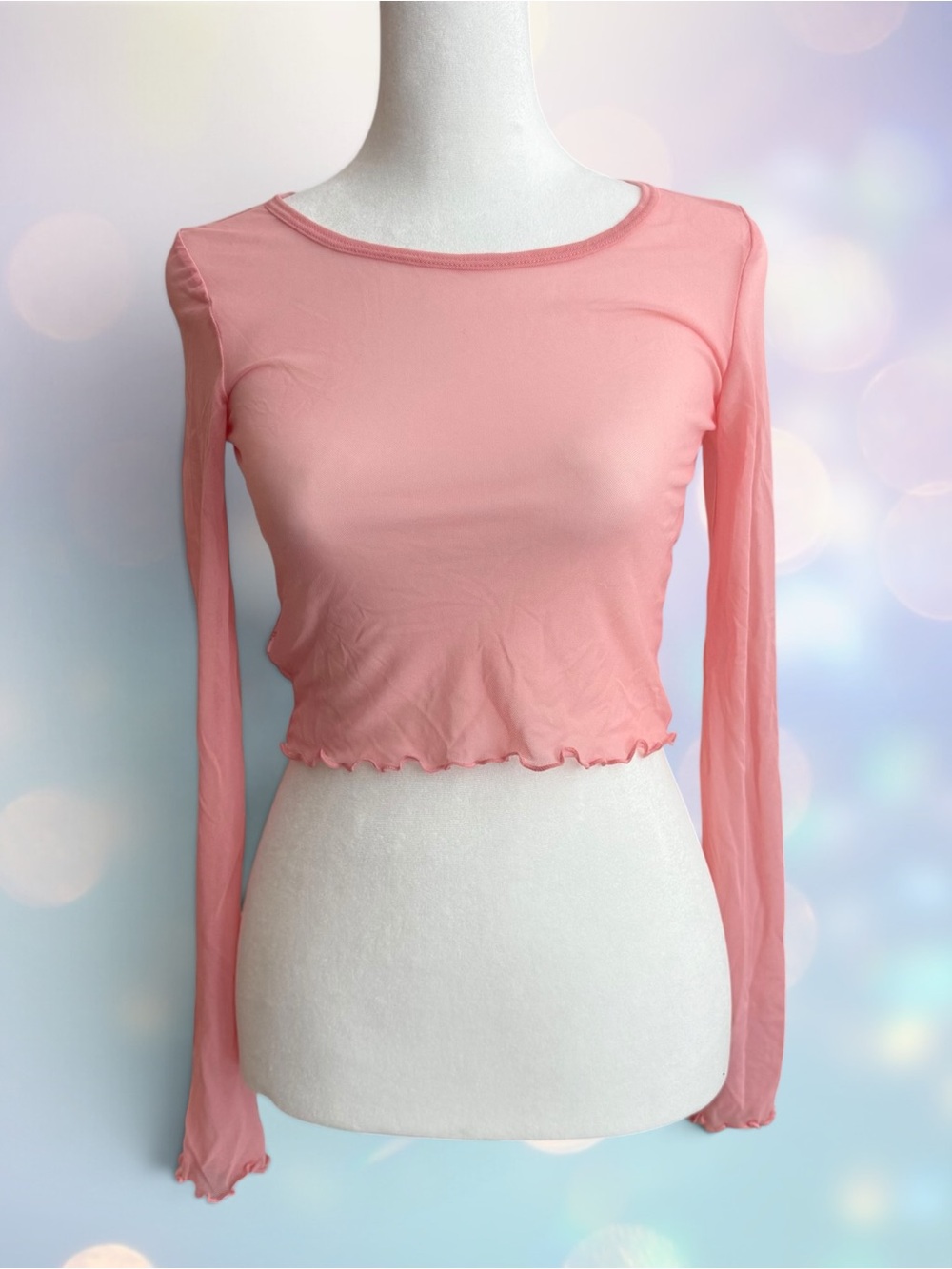 Aerie XS Sheer Long-Sleeve Crop Top NWT